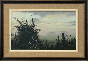 Hedgerow & Fields with Wild Flowers in an Overcast English Countryside Landscape 1985