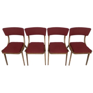 Dining Chairs from Zakłady Mebli Giętych Radomsko, 1960s, Set of 4 For Sale