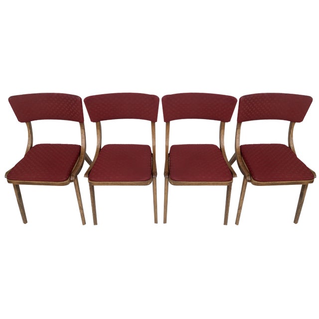 Dining Chairs from Zakłady Mebli Giętych Radomsko, 1960s, Set of 4 For Sale