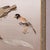 1930's Vintage Bird Wall Panel For Sale - Image 6 of 8