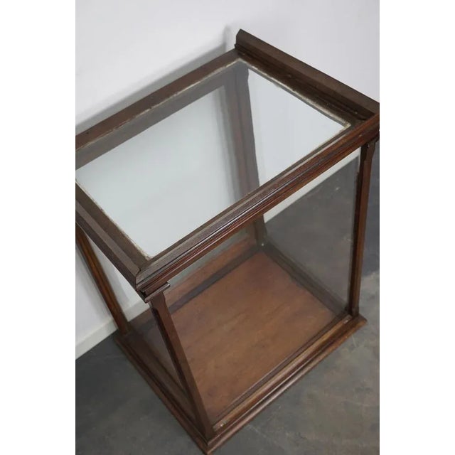 Victorian Mahogany Museum Display Cabinet For Sale - Image 6 of 12