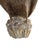 Wood Vintage Majestic Hand Carved Wood Owl Statue For Sale - Image 7 of 8