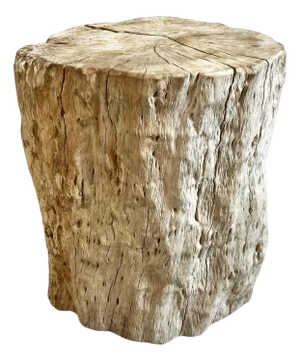 Vintage Washed Lychee Stump Side Table