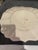 Vintage Italian Hand Painted Tureen With Underplate and Ladle For Sale - Image 9 of 11