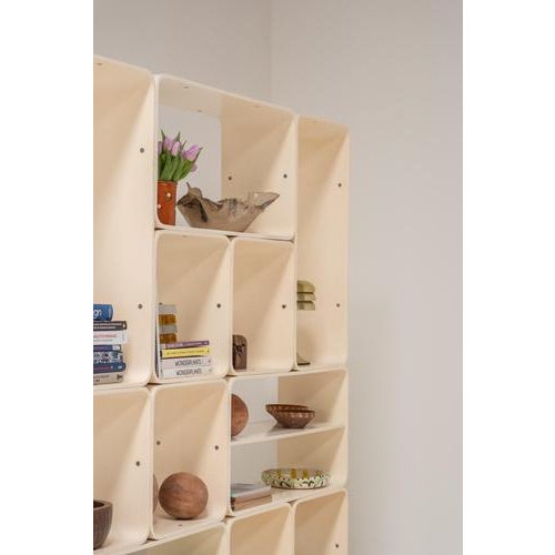 Modular Bookcase or Room Divider attributed to Carlo De Carli for Fiarm, Italy, 1970s For Sale - Image 9 of 13