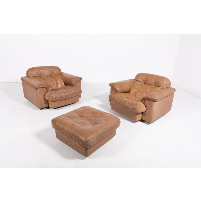 Ds 101 Brown Leather Lounge Chairs from de Sede, 1970s For Sale - Image 16 of 16