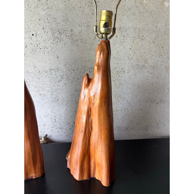 1950s Mid-Century Modern Cypress Root Table Lamps - Organic Modern Driftwood - a Pair For Sale - Image 4 of 7
