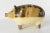 We are selling this charming little marbled pottery piggy bank. This pig shaped bank might be English Staffordshire as the...