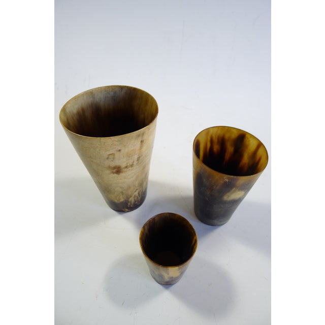 Antique Scottish Cow Horn Cups Set of 3 Chairish