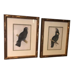 19th C American Gilt Framed Beautifully Colored Bird Prints From Book, a Set (2)