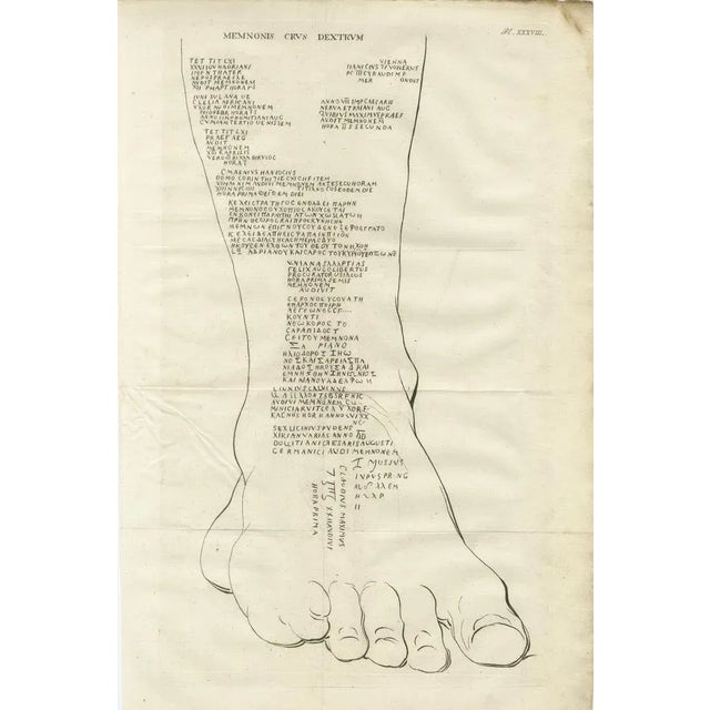 Inscriptions on the Legs of the Colossus of Memnon Greek & Latin Graffiti, Paper, Set of 2 For Sale - Image 3 of 10