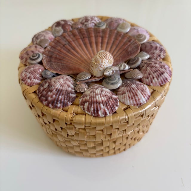 Brown Vintage Coastal Round Sea Shell Basket With 5 Coasters with Seashell Catchall Basket - 6 pcs For Sale - Image 8 of 8