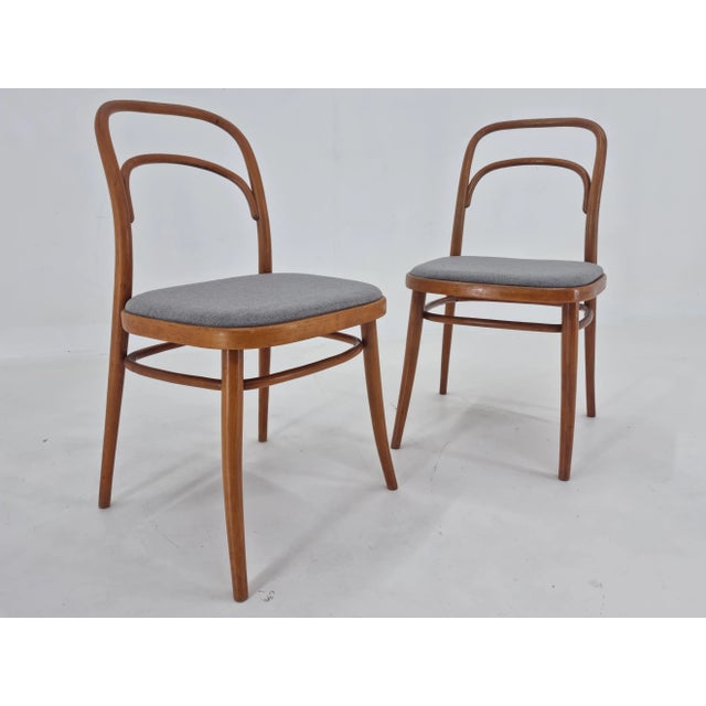 Wood Set of Bentwood Chairs by Antonín Šuman, 1960s For Sale - Image 7 of 12