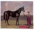Sir Alfred Munnings the Santa Anita Collection: An Exhibition at the National Horseracing Museum - July 24 Through September 27, 1998 For Sale In New York - Image 6 of 10