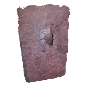 A Terrestrial Crack in the Earth Done in Pa-Pier Ma-Che' in the Manner of Eduardo Chillida