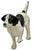 This Really is a Great Looking - Large Size Vintage Cast Iron Figurative Setter - Hunting Dog Doorstop. Circa 1930s. It...