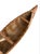 Large 1940 Vintage Birch Bark Model Canoe For Sale - Image 9 of 11