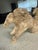 Art Deco 1980s Rare Vintage Horse Hair Pottery Sculpture of 3 Horses Running Signed 8x12 For Sale - Image 3 of 10
