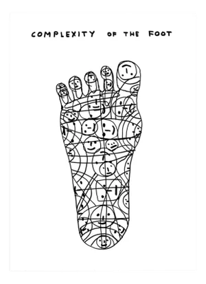 David Shrigley, Complexity of the Foot, 2020, Lithograph Poster, Framed