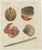 Bertuch, Shipworm and Sea Pen, 1800, Engraving For Sale - Image 10 of 10