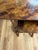 Wood Antique R J Horner & Co. Art Nouveau Faux-Bamboo Floral Nesting Tables - Set of 4 For Sale - Image 7 of 11