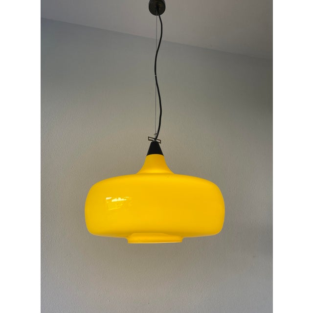 Rare and elegant murano glass pendant lamp, model l114, designed by oreste vistosi and peter peltzel around 1962 and...
