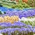 Golden Hour Peaks & Lavender Field - Hand-Embroidered Wall Art For Sale - Image 9 of 14