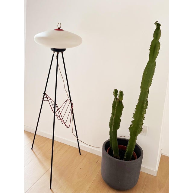 Vintage Floor Lamp with Magazine Rack, 1950s For Sale - Image 11 of 11