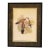1970s English Framed Reproduction of Gould's Chestnut-Crowned Pomatorhinus Lithograph For Sale