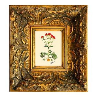 Original Hand-Painted Botanical Painting in a Vintage Gilt Frame For Sale