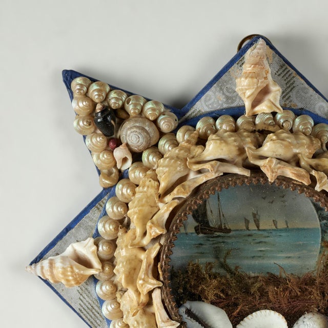 English Antique British Colonial Star Form Sailors Valentine For Sale - Image 3 of 7