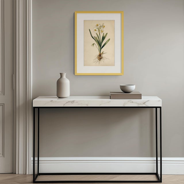 6" X 9" 'Wild Daffodil' or 'Lent Lily' - Original Botanical Floral Watercolor & Pencil Fine Art Print /Herbarium For Sale - Image 4 of 5