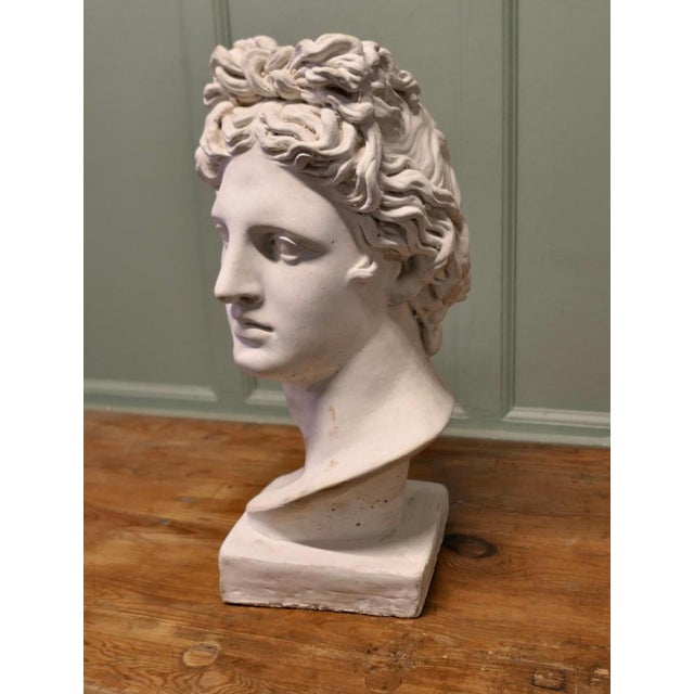 A Large Heavy Bust of Apollo This is a good looking bust, it has been on display outdoors so has a slightly weathered...