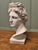 A Large Heavy Bust of Apollo This is a good looking bust, it has been on display outdoors so has a slightly weathered...
