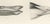 Early 20th Century Lilian Marguerite Medland, Bills and Feet of the Wildfowl, 1909, Print For Sale - Image 5 of 9