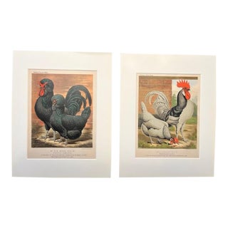 Pair 1872 Vintage Lithos, - Hens + Cocks For Sale