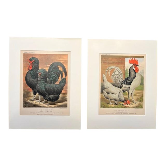 Pair 1872 Vintage Lithos, - Hens + Cocks For Sale