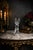 Large French Daum Crystal Rabbit For Sale - Image 9 of 9