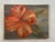 Vintage Oil on Canvas Bold Floral Painting , Framed For Sale In Charleston - Image 6 of 10