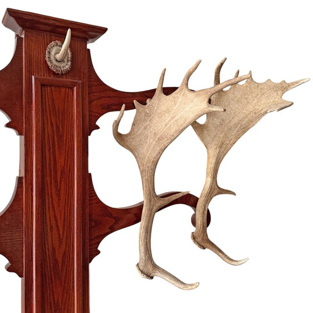 Brown Vintage Fallow Deer Antler Hall Tree For Sale - Image 8 of 15