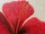 Red Modern Oil Painting - Fleur Rouge For Sale - Image 8 of 8