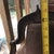 1800s Crystal Metal No 3 Complete Cast Iron Bell For Sale - Image 13 of 15