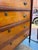 Wood 19th Century Antique Birds Eye Maple Sheraton Style Chest of Drawers For Sale - Image 7 of 9