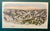 For sale is a stunning original 19th-century hand-colored lithograph depicting Princeton University. This exquisite piece...