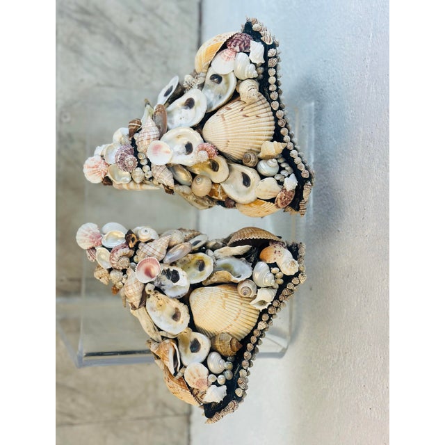 Coastal Vintage Shell Brackets, a Pair For Sale - Image 3 of 12