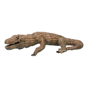 Small Alligator by Mario Lopez Torres