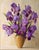 Still Life Painting by French / American Artist Elizabeth Rouviere (1908-1994) For Sale - Image 4 of 12