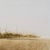 Realism 'Field Mice', American School Realist Landscape For Sale - Image 3 of 8