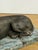 Bronze Vintage Bronze Sculpture of a Lying Greyhound Dog on a Marble Base For Sale - Image 8 of 8