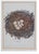 Set of 8 Antique 18th & 19th C Oological Engraving Prints of Eggs & Nests For Sale - Image 4 of 11